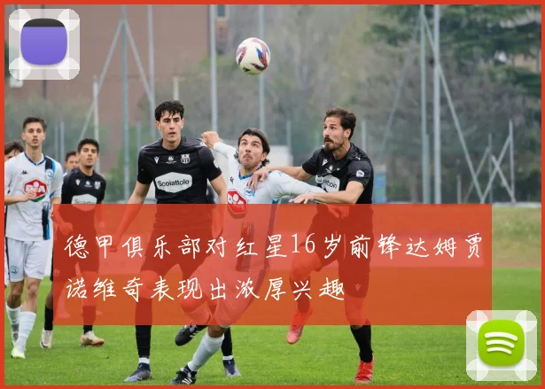 德甲俱乐部对红星16岁前锋达姆贾诺维奇表现出浓厚兴趣