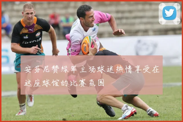 安芬尼赞绿军主场球迷热情享受在这座球馆的比赛氛围