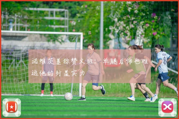 诺维茨基称赞文班：单腿后仰也难逃他的封盖实力