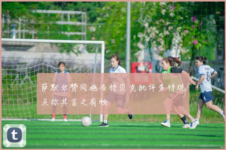 萨默尔赞同施洛特贝克批评多特观点称其言之有物